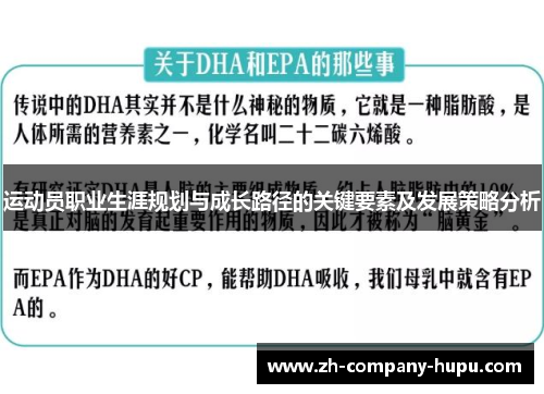 运动员职业生涯规划与成长路径的关键要素及发展策略分析 运动员职业生涯规划与成长路径的关键要素及发展策略分析