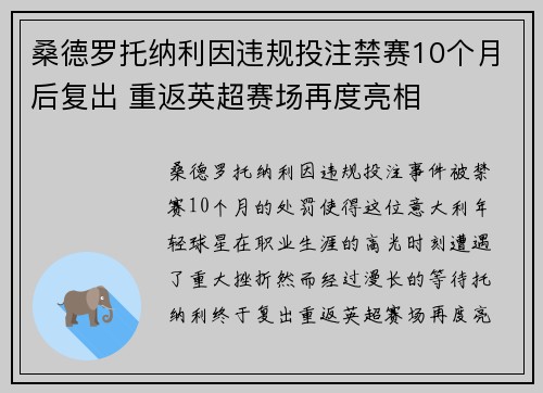 桑德罗托纳利因违规投注禁赛10个月后复出 重返英超赛场再度亮相
